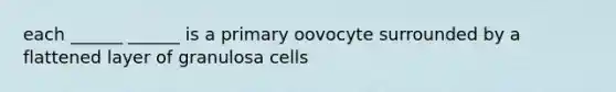 each ______ ______ is a primary oovocyte surrounded by a flattened layer of granulosa cells