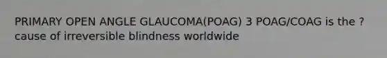 PRIMARY OPEN ANGLE GLAUCOMA(POAG) 3 POAG/COAG is the ? cause of irreversible blindness worldwide