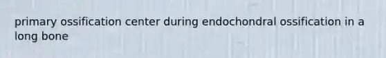 primary ossification center during endochondral ossification in a long bone