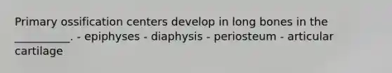 Primary ossification centers develop in long bones in the __________. - epiphyses - diaphysis - periosteum - articular cartilage