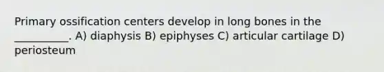 Primary ossification centers develop in long bones in the __________. A) diaphysis B) epiphyses C) articular cartilage D) periosteum