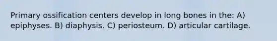 Primary ossification centers develop in long bones in the: A) epiphyses. B) diaphysis. C) periosteum. D) articular cartilage.