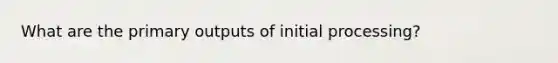 What are the primary outputs of initial processing?