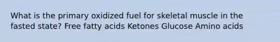 What is the primary oxidized fuel for skeletal muscle in the fasted state? Free fatty acids Ketones Glucose Amino acids