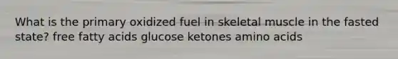 What is the primary oxidized fuel in skeletal muscle in the fasted state? free fatty acids glucose ketones amino acids