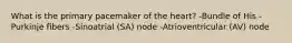 What is the primary pacemaker of the heart? -Bundle of His -Purkinje fibers -Sinoatrial (SA) node -Atrioventricular (AV) node