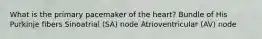 What is the primary pacemaker of the heart? Bundle of His Purkinje fibers Sinoatrial (SA) node Atrioventricular (AV) node