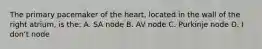 The primary pacemaker of the heart, located in the wall of the right atrium, is the: A. SA node B. AV node C. Purkinje node D. I donʻt node