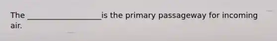 The ___________________is the primary passageway for incoming air.