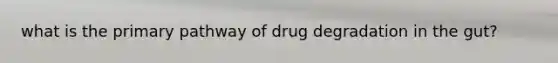 what is the primary pathway of drug degradation in the gut?