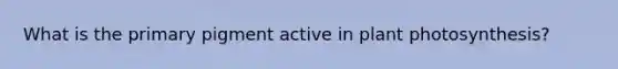What is the primary pigment active in plant photosynthesis?