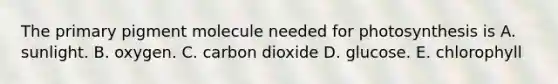 The primary pigment molecule needed for photosynthesis is A. sunlight. B. oxygen. C. carbon dioxide D. glucose. E. chlorophyll