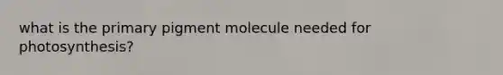 what is the primary pigment molecule needed for photosynthesis?