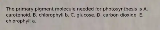 The primary pigment molecule needed for photosynthesis is A. carotenoid. B. chlorophyll b. C. glucose. D. carbon dioxide. E. chlorophyll a.