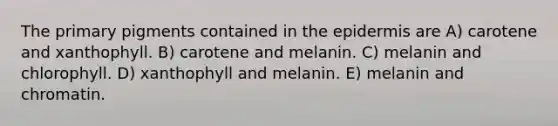 The primary pigments contained in the epidermis are A) carotene and xanthophyll. B) carotene and melanin. C) melanin and chlorophyll. D) xanthophyll and melanin. E) melanin and chromatin.