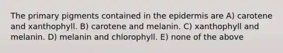 The primary pigments contained in the epidermis are A) carotene and xanthophyll. B) carotene and melanin. C) xanthophyll and melanin. D) melanin and chlorophyll. E) none of the above