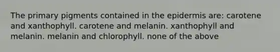 The primary pigments contained in the epidermis are: carotene and xanthophyll. carotene and melanin. xanthophyll and melanin. melanin and chlorophyll. none of the above