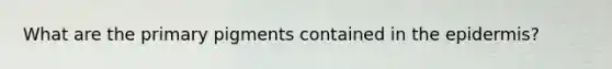 What are the primary pigments contained in the epidermis?