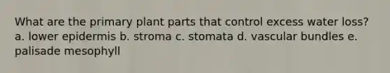 What are the primary plant parts that control excess water loss? a. lower epidermis b. stroma c. stomata d. vascular bundles e. palisade mesophyll