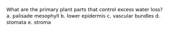 What are the primary plant parts that control excess water loss? a. palisade mesophyll b. lower epidermis c. vascular bundles d. stomata e. stroma