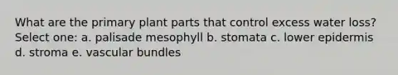 What are the primary plant parts that control excess water loss? Select one: a. palisade mesophyll b. stomata c. lower epidermis d. stroma e. vascular bundles