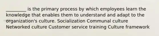 _________ is the primary process by which employees learn the knowledge that enables them to understand and adapt to the organization's culture. Socialization Communal culture Networked culture Customer service training Culture framework