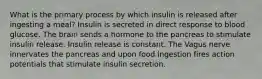 What is the primary process by which insulin is released after ingesting a meal? Insulin is secreted in direct response to blood glucose. The brain sends a hormone to the pancreas to stimulate insulin release. Insulin release is constant. The Vagus nerve innervates the pancreas and upon food ingestion fires action potentials that stimulate insulin secretion.