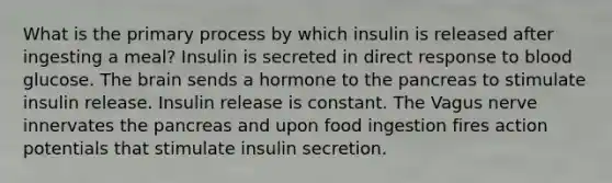 What is the primary process by which insulin is released after ingesting a meal? Insulin is secreted in direct response to blood glucose. The brain sends a hormone to the pancreas to stimulate insulin release. Insulin release is constant. The Vagus nerve innervates the pancreas and upon food ingestion fires action potentials that stimulate insulin secretion.