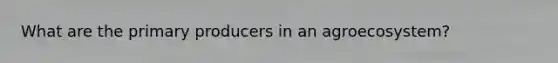 What are the primary producers in an agroecosystem?