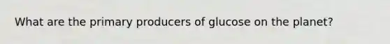 What are the primary producers of glucose on the planet?