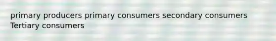 primary producers primary consumers secondary consumers Tertiary consumers