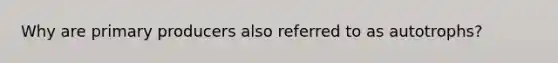 Why are primary producers also referred to as autotrophs?