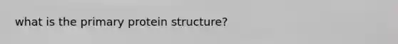 what is the primary protein structure?