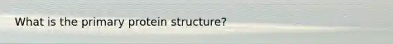 What is the primary protein structure?