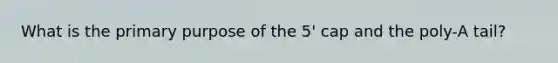 What is the primary purpose of the 5' cap and the poly-A tail?