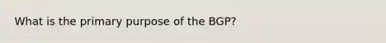 What is the primary purpose of the BGP?