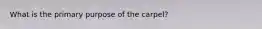 What is the primary purpose of the carpel?