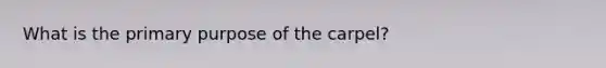 What is the primary purpose of the carpel?