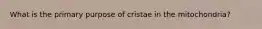 What is the primary purpose of cristae in the mitochondria?