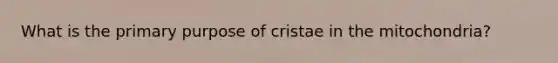 What is the primary purpose of cristae in the mitochondria?