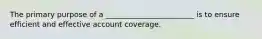 The primary purpose of a​ ________________________ is to ensure efficient and effective account coverage.