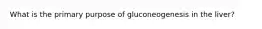 What is the primary purpose of gluconeogenesis in the liver?