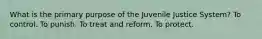 What is the primary purpose of the Juvenile Justice System? To control. To punish. To treat and reform. To protect.