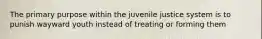 The primary purpose within the juvenile justice system is to punish wayward youth instead of treating or forming them