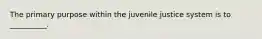 The primary purpose within the juvenile justice system is to __________.