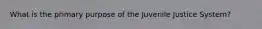 What is the primary purpose of the Juvenile Justice System?