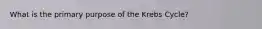 What is the primary purpose of the Krebs Cycle?