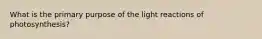 What is the primary purpose of the light reactions of photosynthesis?