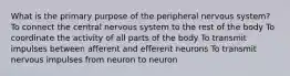 What is the primary purpose of the peripheral nervous system? To connect the central nervous system to the rest of the body To coordinate the activity of all parts of the body To transmit impulses between afferent and efferent neurons To transmit nervous impulses from neuron to neuron