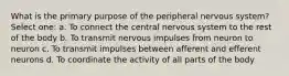 What is the primary purpose of the peripheral nervous system? Select one: a. To connect the central nervous system to the rest of the body b. To transmit nervous impulses from neuron to neuron c. To transmit impulses between afferent and efferent neurons d. To coordinate the activity of all parts of the body